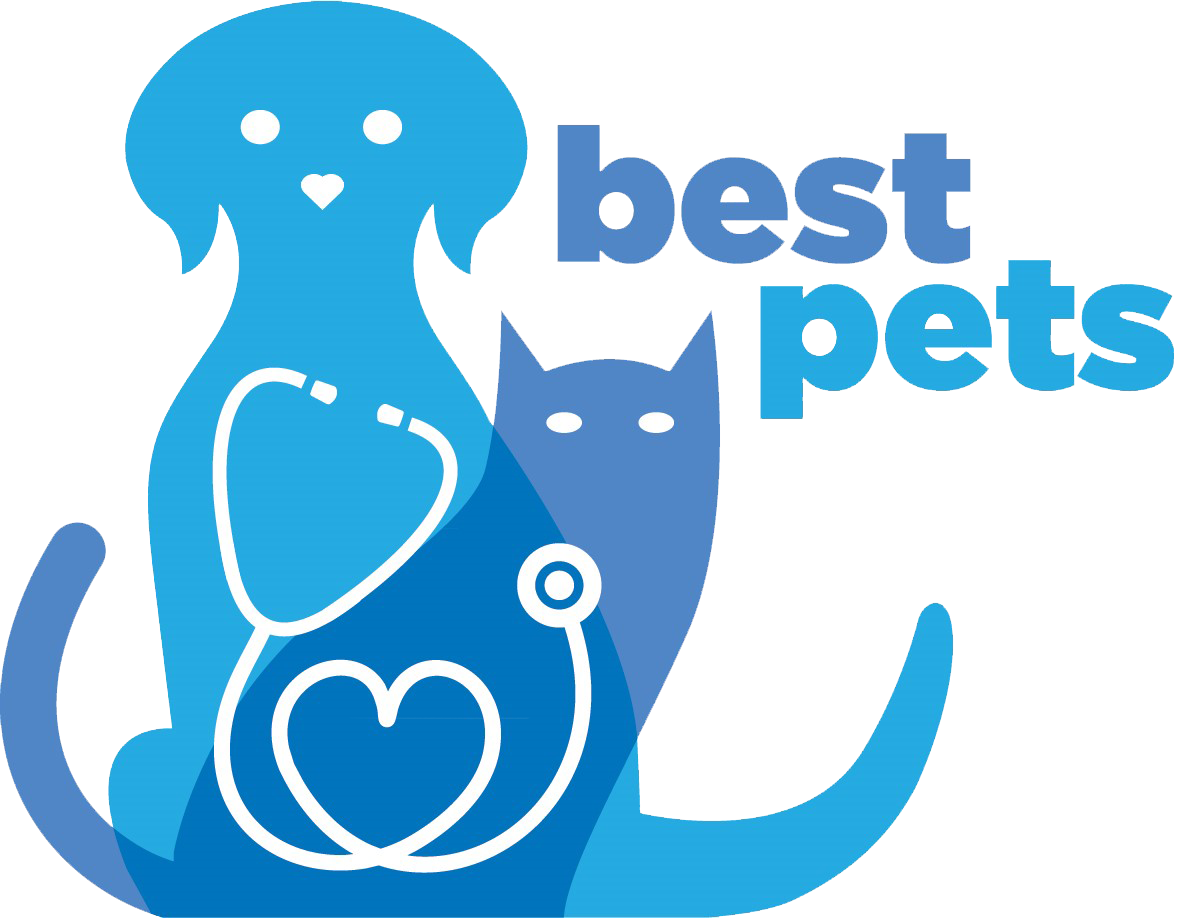 Best Pets Animal Clinic